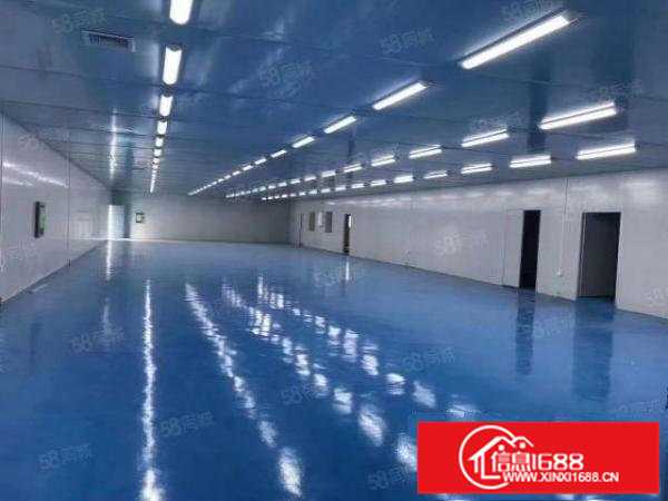 原房东厂房整层3000平方豪华装修。