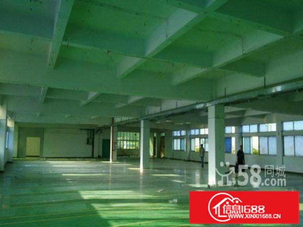 15元起横岗机荷高速路口500平起分1栋原房东厂房