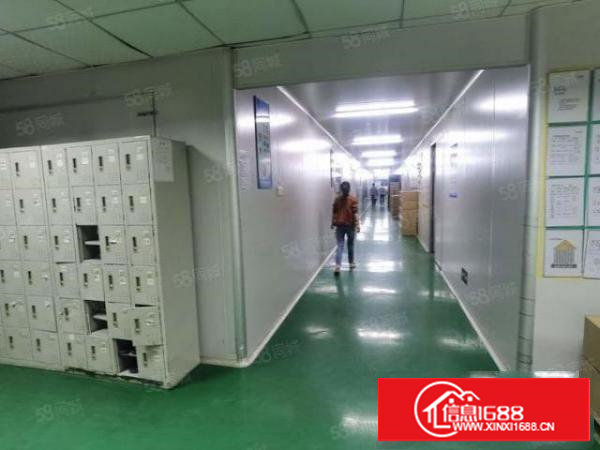 塘厦128工业区标准厂房1300平招租，水电齐全。主线到位