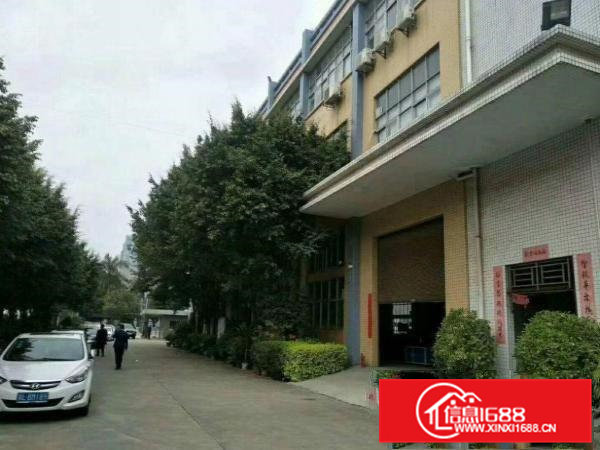 清溪浮岗新出原房东独院4500平方厂房，水电齐全