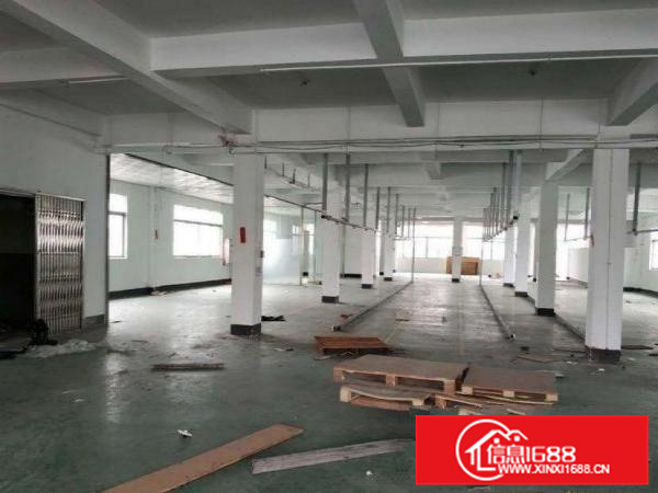 惠阳新墟标准厂房3楼1100平装修好厂房可分租