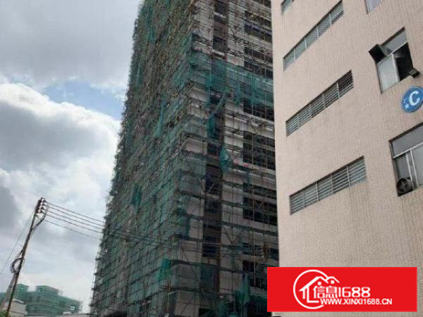 大岭山杨屋新出标准原房东可分租厂房3000平米一层可分租