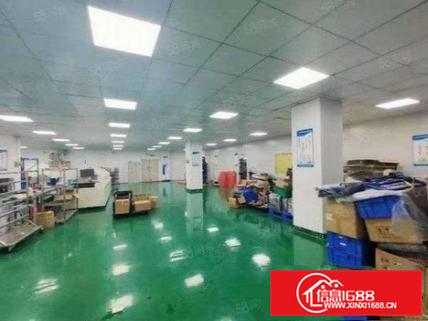 二楼600平方带豪华装修，货梯三吨，不是拆迁区域