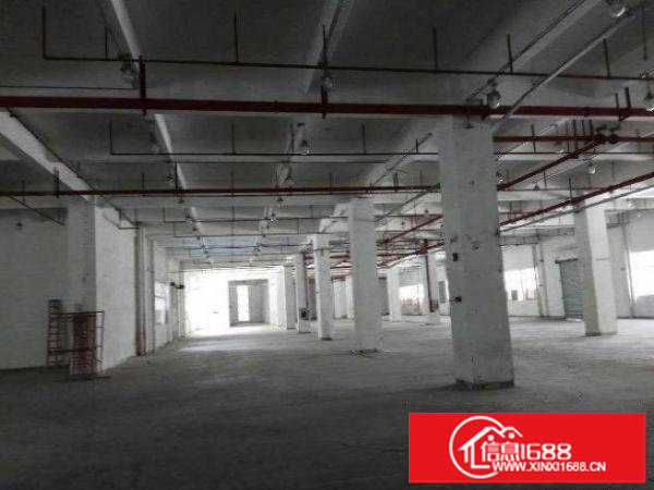 平湖辅城坳工业区一楼标准厂房1000平米精装修招租