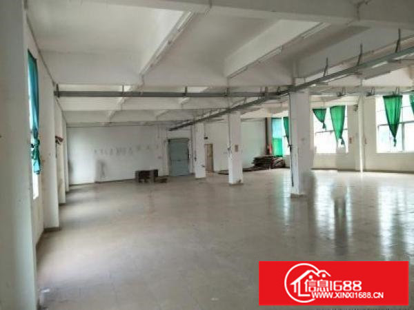 坪山深汕路边上新出独院厂房4800平出租