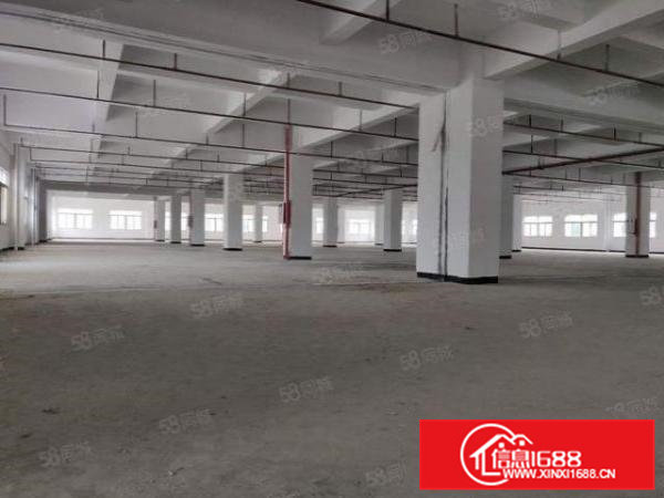 一楼五米高标准厂房出租，500平米两个进出口方便进出货