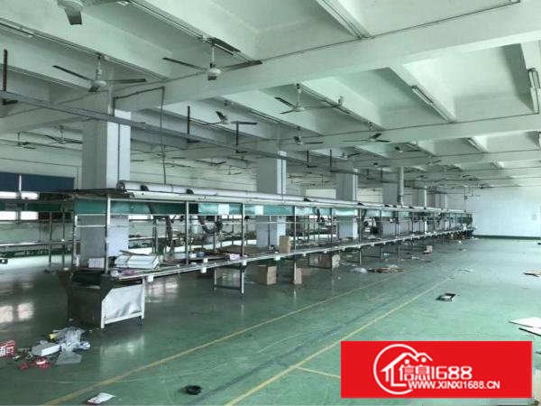 塘厦近高速边经典3层小独院1800平米