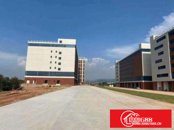 出租清溪清溪城区高速路口