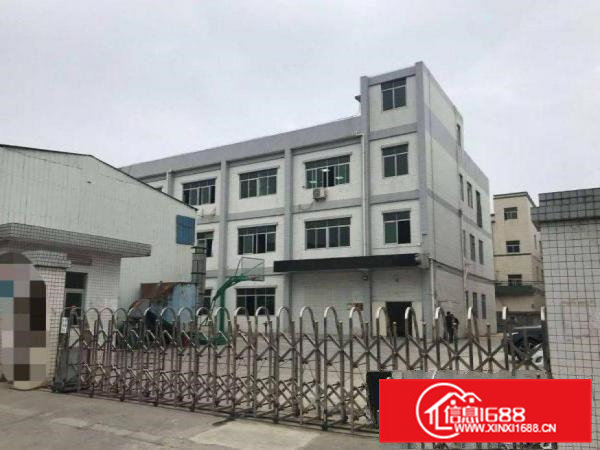 长巷新出一楼1550平方，厂房现成装修