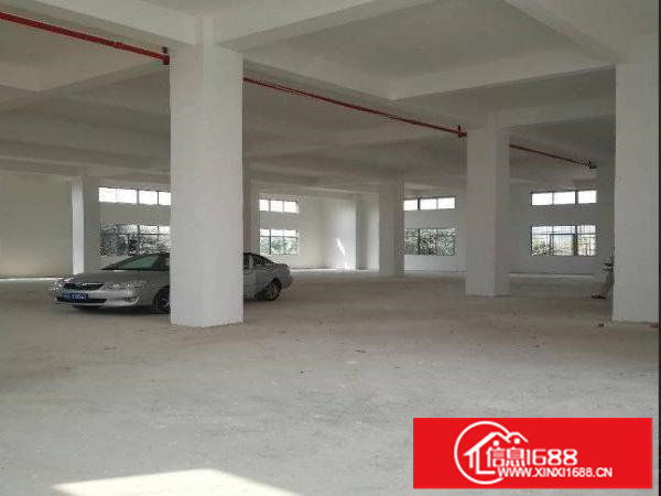 龙岗区浪背全新独院800平方单一层楼房厂房出租