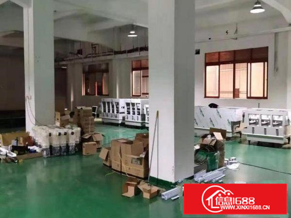 横沥田头独门独院标准一楼500平招租现成水电装修