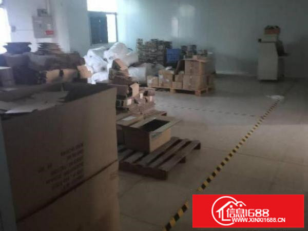 出租龙岗区坪地紫荆路17号