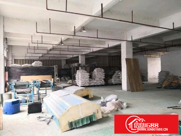 高埗原房东标准厂房一楼出租