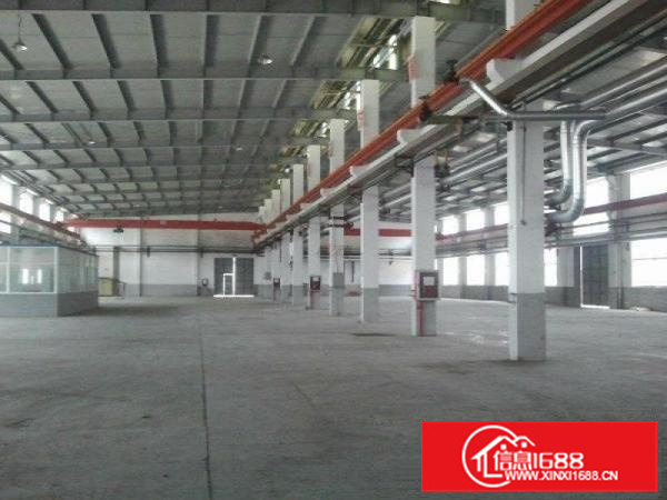 镇隆七千五百平方滴水八米钢构业主急租