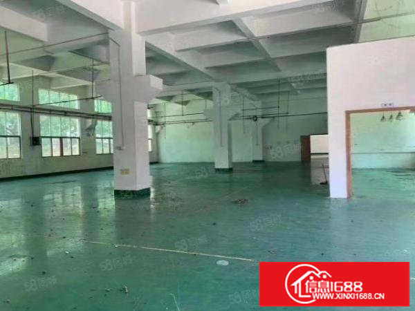 松岗燕川高速路口附近独门独院厂房3层4500平层高6米