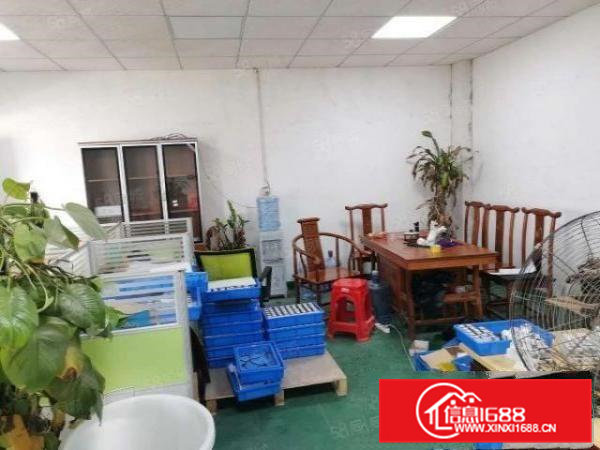 渔梁围新空出小企业福音，260平方精装修厂房，先到先得。