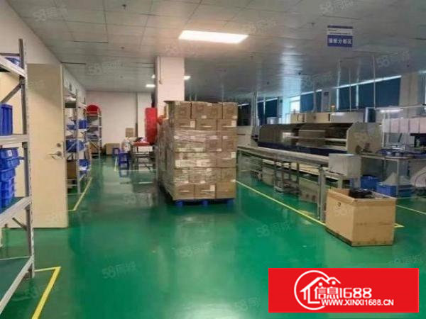 塘厦科苑城科技园新出1000平吊顶装修厂房，无转让费，面积实