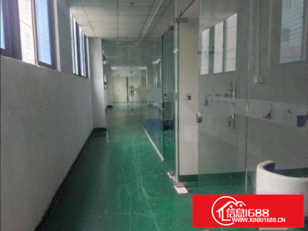 坪山石井靠近主干道二楼800平米红本带装修厂房出租