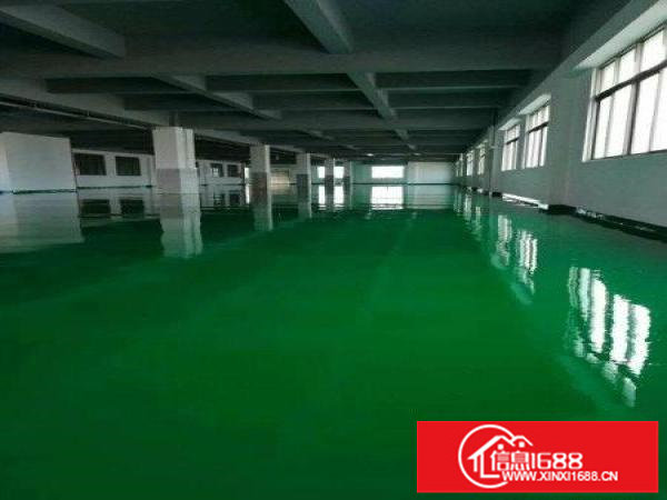 大浪华荣路附近新出650平带豪华装修厂房出租