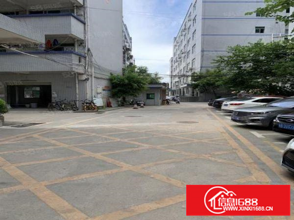 坂田上雪科技城楼上1000平招租