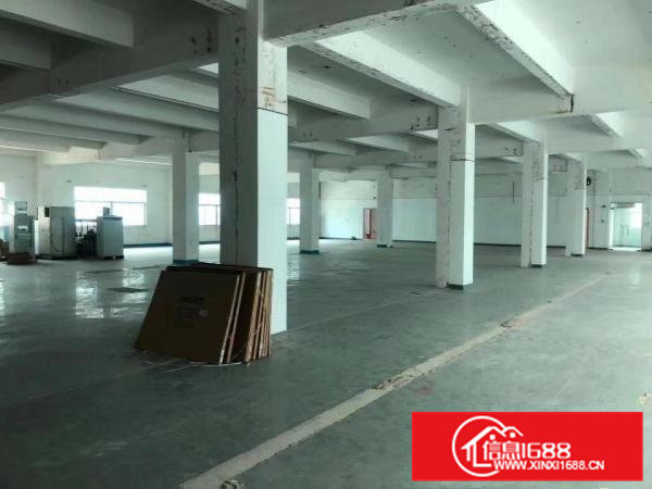 清溪大利新出2楼1350平带装修厂房出租拎包生产