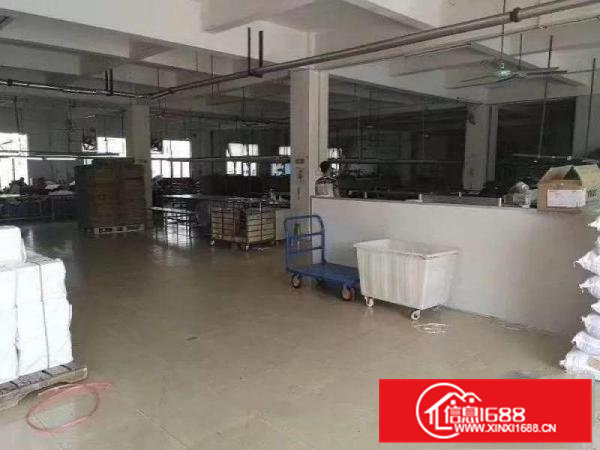 常平苏坑下付路新出标准一楼厂房1800平米带装修