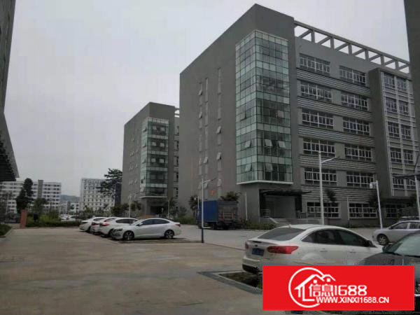 荷坳坳背一楼2000平方空地超大适合各仓库生产