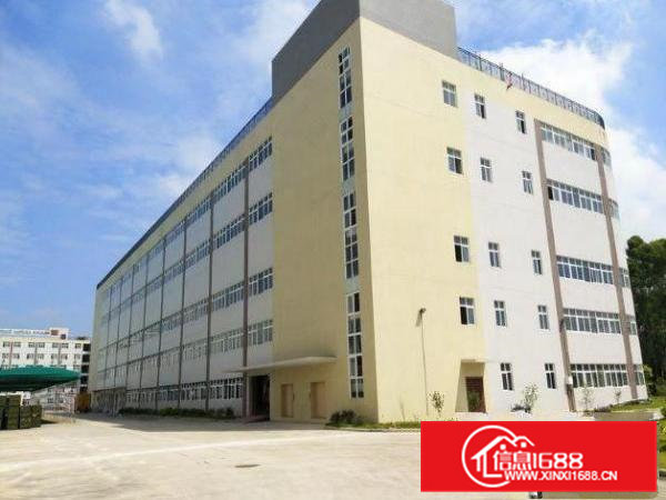 东坑角社标准厂房一楼1100平