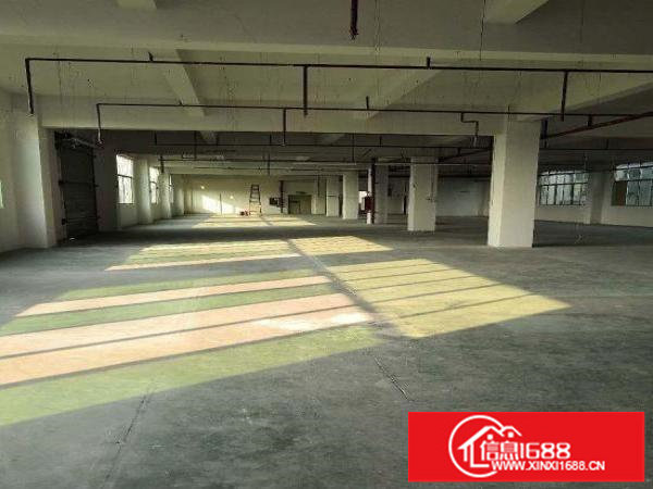 马山头楼上豪华装修500平。水电到位