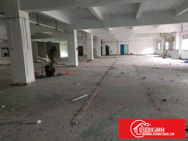 凤岗雁田小独院厂房4600平方可分租