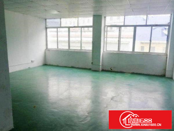 寮新出1600平豪华装修厂房招租可分租