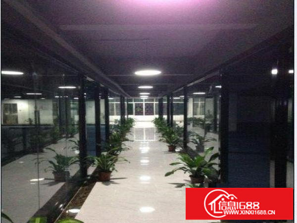 地铁口1985园中园高端写字楼业主直租100平起（免中介费）