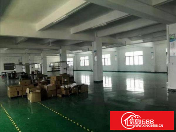 坂田五和二楼厂房1000平方，无公摊，可分租