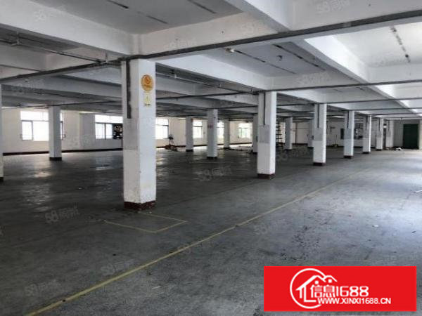 布吉丹竹头小学一楼1800平方。楼上1800平方。大小可分租