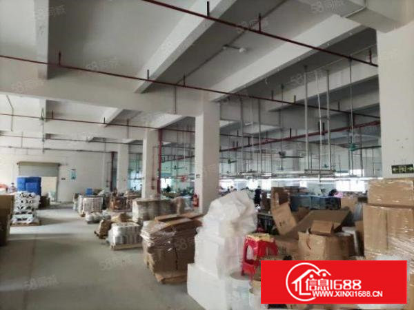 塘厦沙湖原房东15万平红本工业厂房仓库高新产业园大小分租实图