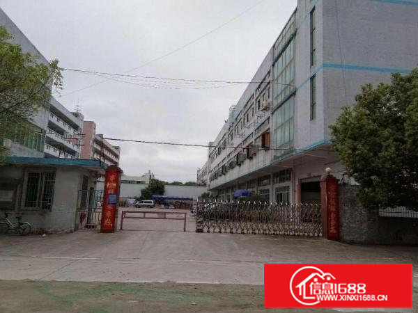 寮步横坑标准独院分租小面积500平方，无公摊，交通方便！