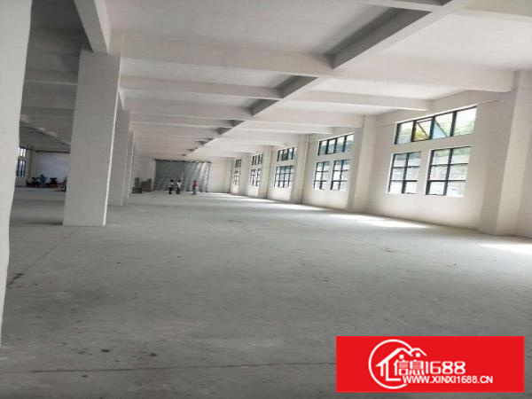 里水里官路边全新标准厂房10425平米出租，形象好