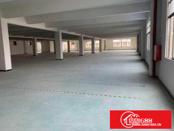 （非中介）佛山南海里水全新标准厂房出租（业主直租）超低价笋！