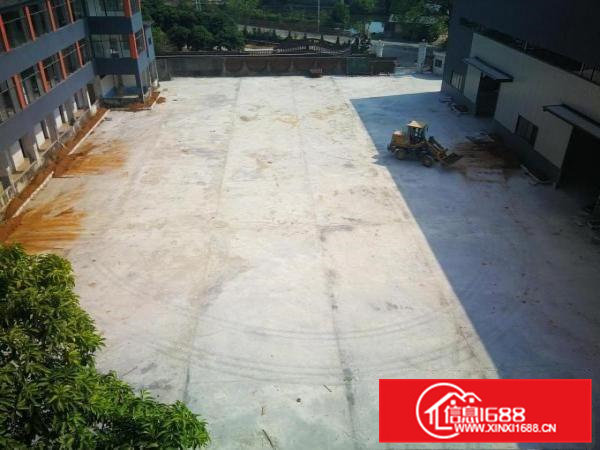 钢构厂房10米高超便宜厂房招租园区厂房带红本厂房