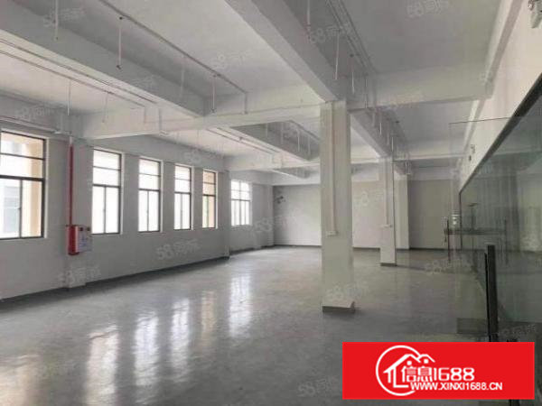 高埗原房东独门独院标准厂房出租，可办环评，形象超好，易招工