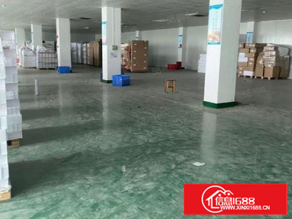 可做电池行业！科苑城独院标准2楼1300平方！全层地坪漆装修