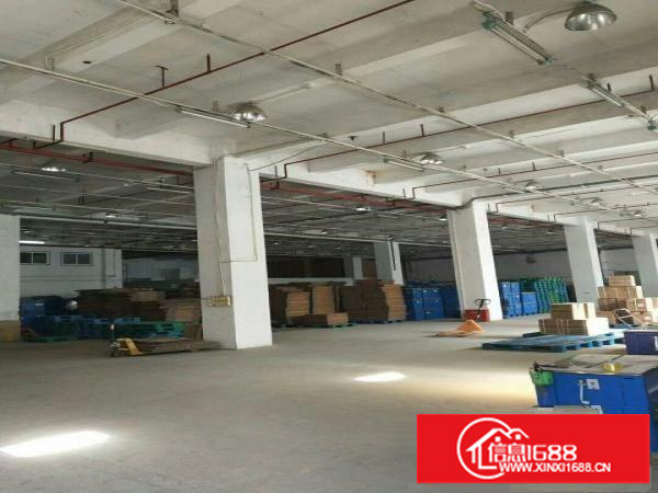 布吉上李朗1300平一楼标准厂房