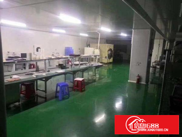 塘厦科苑城原房东无尘车间1000㎡