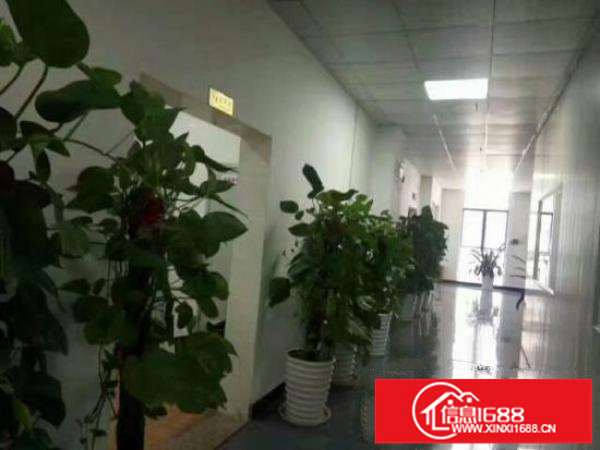 龙岗宝龙高新区新出原房东豪华装修楼上1286平出租