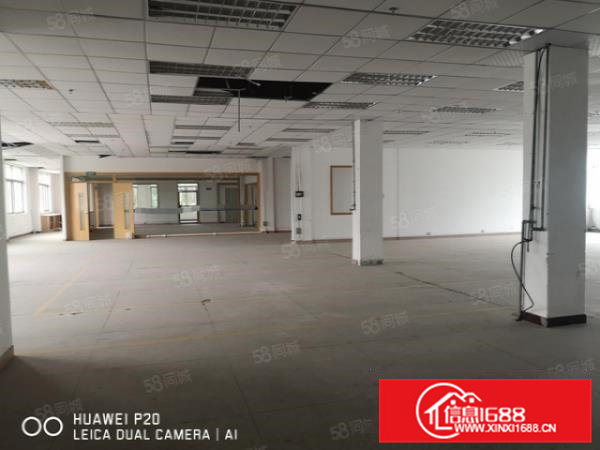 实图）大朗巷头经典独院厂房7000平2栋厂房，带地坪漆可分租