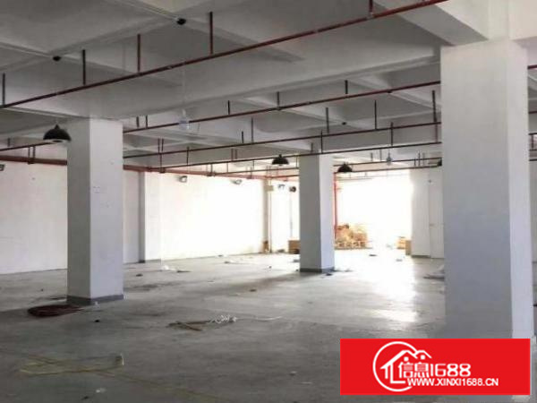 坪山坑梓7米高标准1楼厂房10000平米招租（可分租)