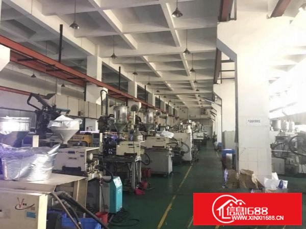 清溪三中原房东独院厂房5500平方低价急租