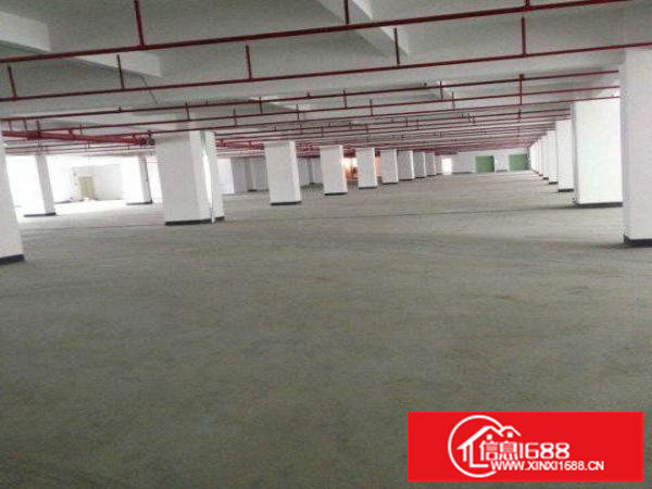 龙胜地铁口新出一楼2000平6米高做汽修卖场仓库