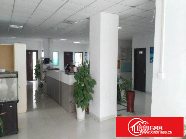 杨美新出2100平方带精装修适合电商办公可分租