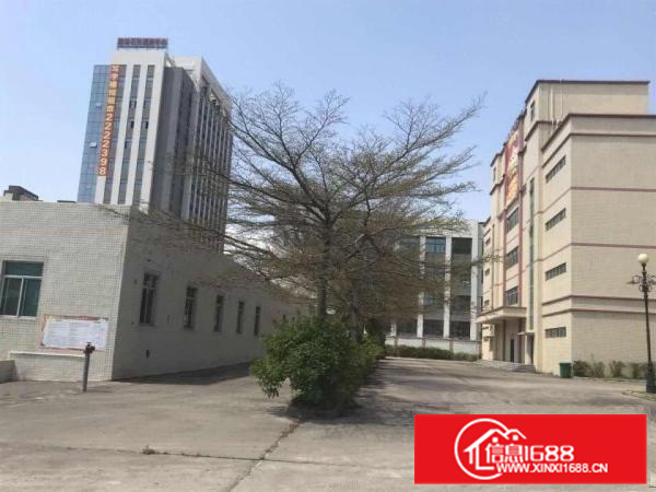 惠阳大亚湾15000平方厂房出租（可分租）